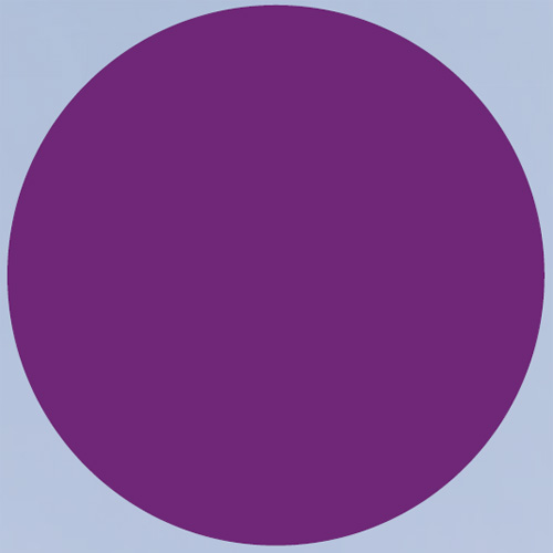 Violet - Purple